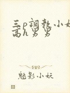 三p调教小嫩苞高h男男