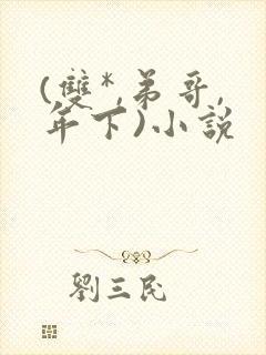 (双*,弟哥,年下)小说