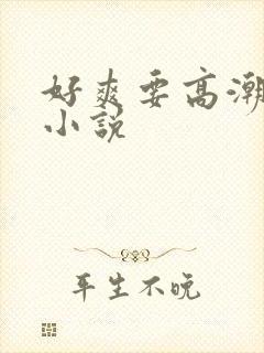 好爽要高潮了的小说