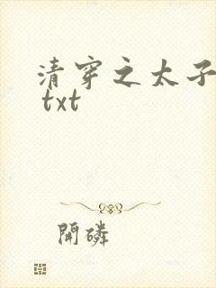 清穿之太子娇妃 txt