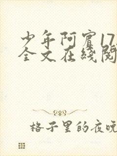 少年阿宾172全文在线阅读封面