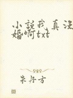 小说我真没想结婚啊txt