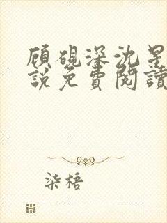 顾砚深沈星瑶小说免费阅读最新章节