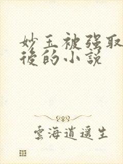 妙玉被强取豪夺后的小说