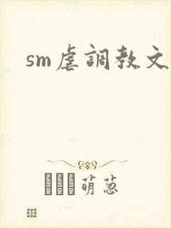 sm虐调教文封面