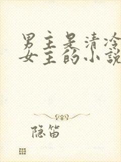 男主是清冷丞相女主的小说