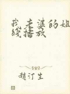 我老婆的姐姐在线播放