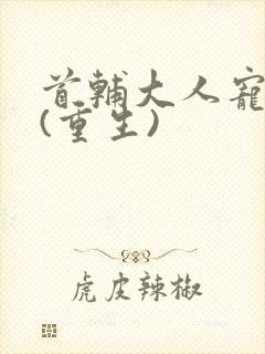 首辅大人宠妻录(重生)