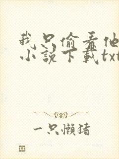 我只偷看他一眼小说下载txt