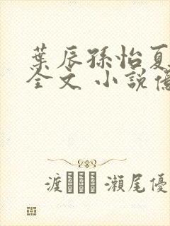 叶辰孙怡夏若雪全文 小说亿软