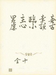 男主临幸妾室的虐心小说古言