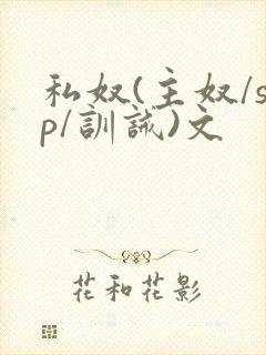 私奴(主奴/sp/训诫)文