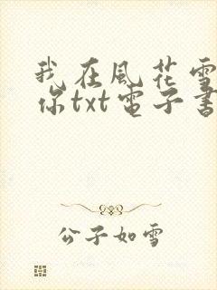 我在风花雪月等你txt电子书下载
