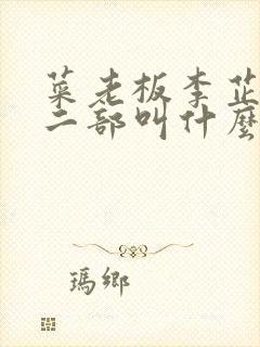 菜老板李芷珊第二部叫什么