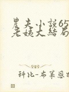 农夫小说65岁老姨大结局最新章节封面