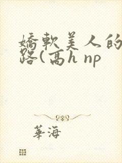 娇软美人的风月路(高h np