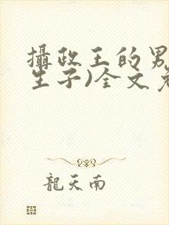 摄政王的男妃(生子)全文免费阅读