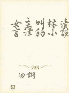 女主叫林清妍宋言津的小说免费阅读