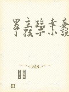 男主临幸妾室为了孩子小说封面