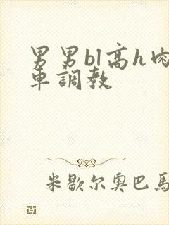 男男bl高h肉车调教