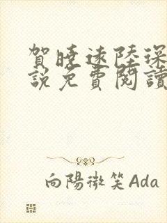 贺晓远陆琛的小说免费阅读封面