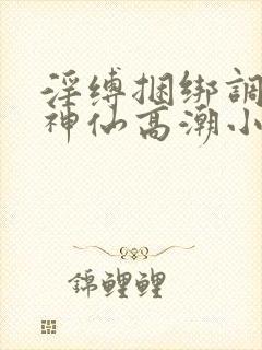 淫缚捆绑调教女神仙高潮小说封面