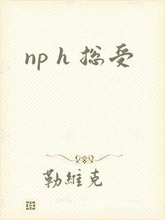np h 总受