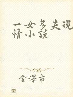 一女多夫现代言情小说