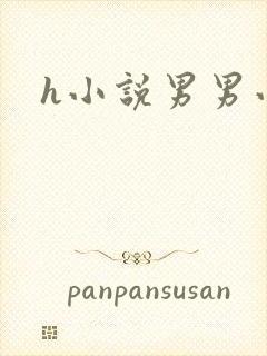 h小说男男小说封面