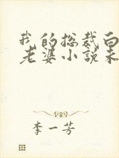 我的总裁白富美老婆小说未删减在线看