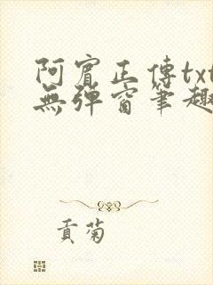 阿宾正传txt无弹窗笔趣阁