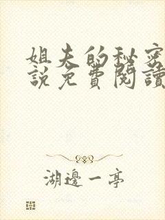 姐夫的秘密,小说免费阅读