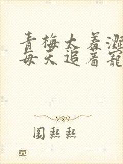 青梅太羞涩竹马每天追着宠