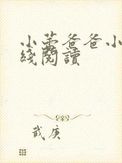 小蕾爸爸小说在线阅读