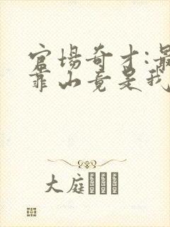 官场奇才:最强靠山竟是我自己李澜小说最