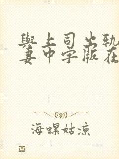 与上司出轨的人妻中字版在线全集封面