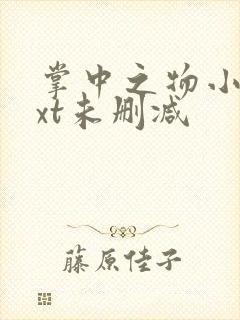 掌中之物小说txt未删减