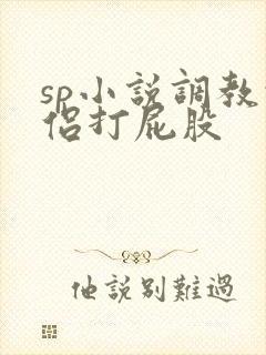 sp小说调教情侣打屁股封面