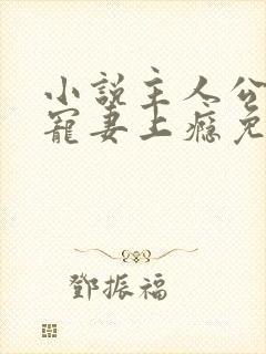 小说主人公叔他宠妻上瘾免费阅读