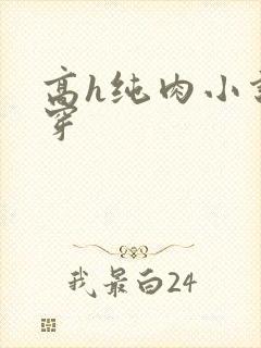 高h纯肉小说快穿