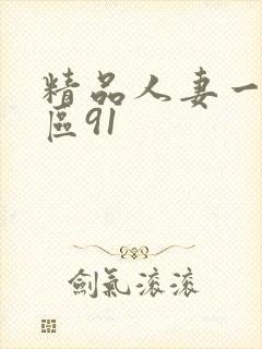 精品人妻一区二区91