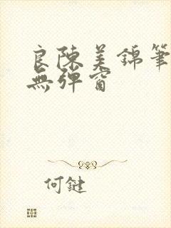 良陈美锦笔趣阁无弹窗