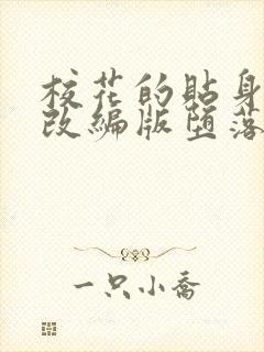 校花的贴身高手改编版堕落封面