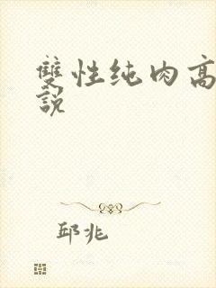 双性纯肉高h小说