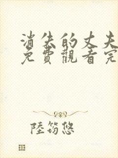 消失的丈夫短剧免费观看完整版高清