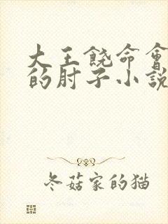 大王饶命会说话的肘子小说在线