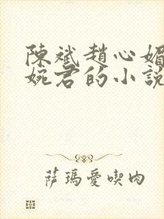 陈斌赵心媚和高婉君的小说免费阅读