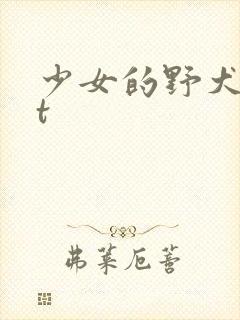 少女的野犬txt封面