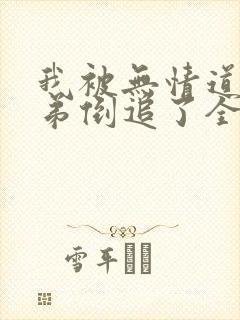 我被无情道小师弟倒追了全文免费阅读封面