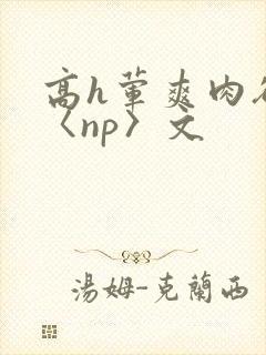 高h荤爽肉欲文〈np〉文